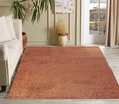 Modern Extra Large Small Soft 5cm Shaggy Non Slip Bedroom Living Room Carpet Runner Area Rug - Terracotta 80 x 150 cm