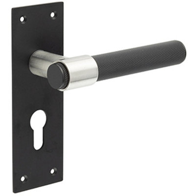 Modern T-Bar Door Handle with Euro Profile Lockplate in Sleek Black Finish - Interior Lever on Backplate