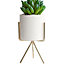 Modern Tabletop Succulent Planter Ceramic Pots with Gold Short Feet Metal Stand 80 x 145 mm