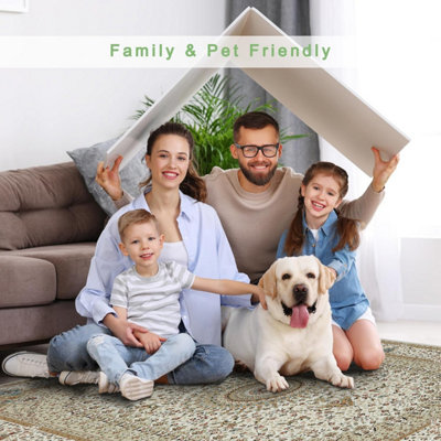 Modern Traditional Rugs Non Slip Turkish Area Rug Living Room Bedroom Carpets