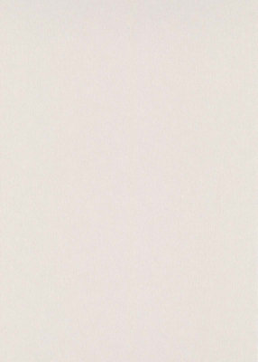 Moderne plain Nonwoven wallpaper in lichttaupe - 10,05 x 0,53 m