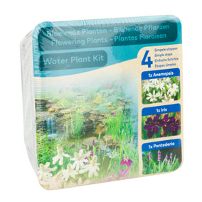 Moerings Waterplants Pond Plants Complete Kit - Flowering Plants (Iris, Anemopsis, and Pontederia)