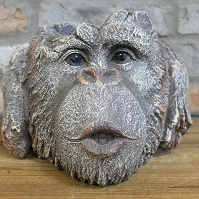 Monkey Head Plant Pot Planter - Hear No Evil