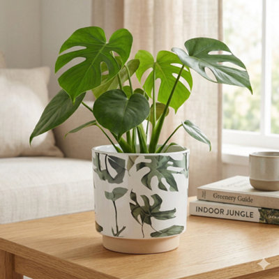 Monstera Leaf Print Ceramic Indoor Plant Pot (H12.5 x W12.7cm)