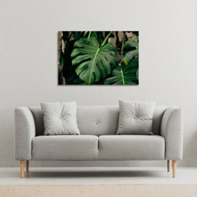 Monstera Leaves in home interior (Canvas Print) / 114 x 77 x 4cm