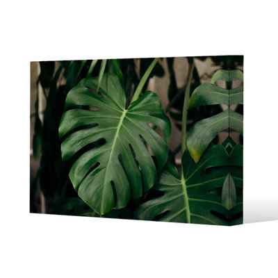 Monstera Leaves in home interior Slim Style Canvas Print 60x90cm , 15mm ...