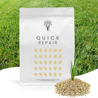 MOOWY Quick Repair Grass Seed (100 m²) - Ideal for Patch Repair and ...
