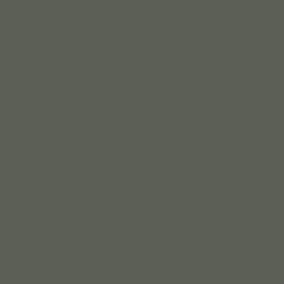Morris & Co. Chalky Matt Emulsion  Morris Trellis