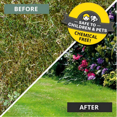 Moss-Off Lawncare Chemical Free Moss Killer