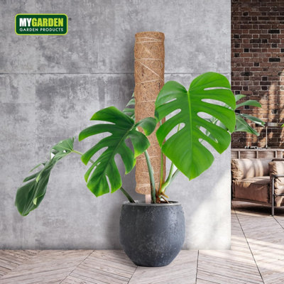 Moss Pole Coco Coir Bendable Totem Mosses with Poles For Cheese Plants  Indoor Climbing Sphagnum Support