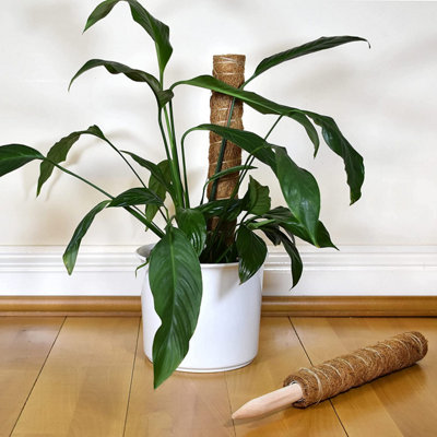 Moss boards Q57 22-23　MOSS STICK 32