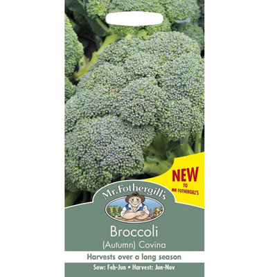 Mr. Fothergills Broccoli Autumn Covina Seeds