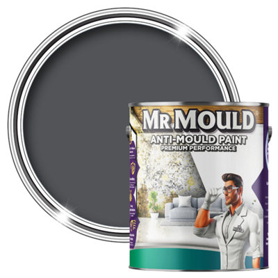 MR MOULD - Anti-Mould Paint - Premium Colour & Protection for Interior Walls & Ceilings - Classic Grey - 5L