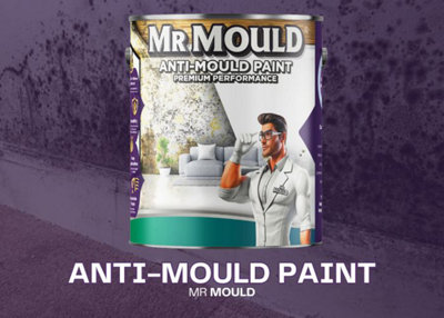 MR MOULD - Anti-Mould Paint - Premium Colour & Protection for Interior ...