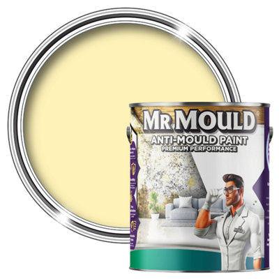 MR MOULD - Anti-Mould Paint - Premium Colour & Protection for Interior Walls & Ceilings - Light Yellow - 5L