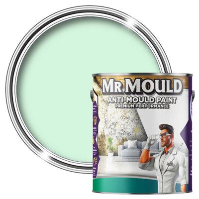 MR MOULD - Anti-Mould Paint - Premium Colour & Protection for Interior Walls & Ceilings - Pale Blue - 1L