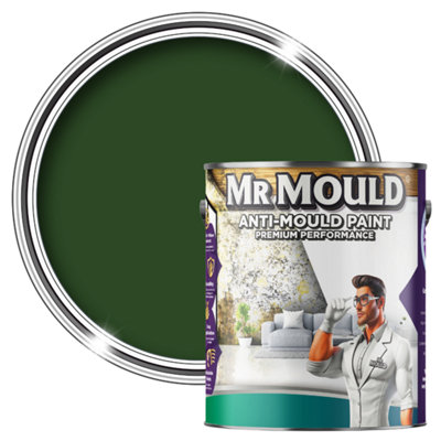MR MOULD - Anti-Mould Paint - Premium Colour & Protection for Interior Walls & Ceilings - Sage Green - 5L