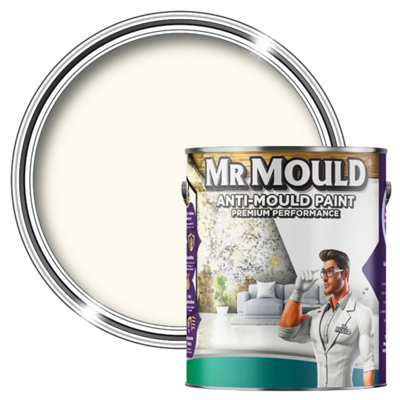 MR MOULD - Anti-Mould Paint - Premium Colour & Protection for Interior Walls & Ceilings - White - 5L