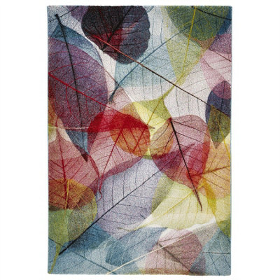 Multi Nature Print Modern Easy to Clean Graphics Rug For Dining Room -160cm X 220cm