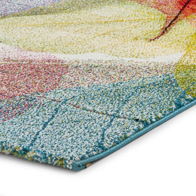 Multi Nature Print Modern Easy to Clean Graphics Rug For Dining Room -160cm X 220cm - 6