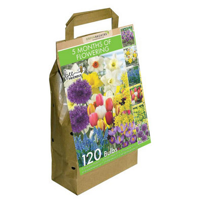 Multi Variety Big Value Pack Bulbs-5 months flowering (120 Bulbs) Bee Friendly