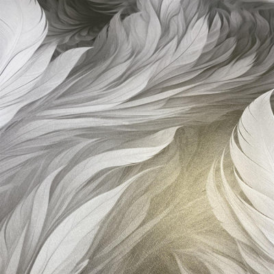 Muriva Feathers Wallpaper Plumes Black Wall Paper Roll