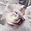 Muriva Rhoda Rose Pink Wallpaper Floral Flowers Grey White Glamorous Modern