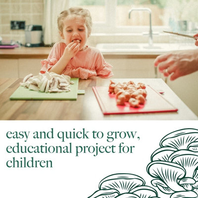 Mushroom Growing Kit King Oyster - Beginner Friendly Ready To Grow Educational Kit Easy To Use Gardening Gift Grow Your Own~5061057214234 08c Mp