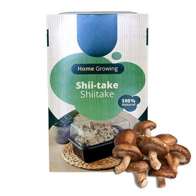 Mushroom Growing Kit Shiitake - Beginner Friendly Ready to Grow Educational Kit - Easy to Use Gardening Gift - Grow Your Own