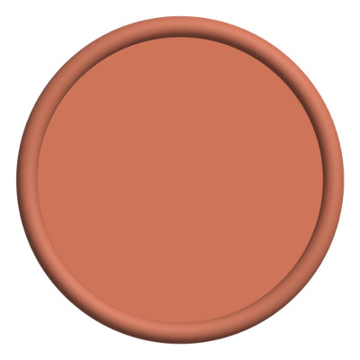 MYLANDS Coral Orange 277 Plant-Based Multi-Surface Dead Matt Paint, 5L