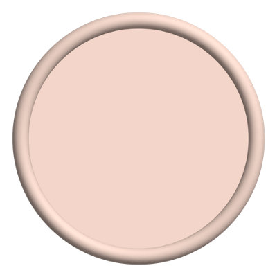 MYLANDS Gentleman's Pink 221 Plant-Based Multi-Surface Dead Matt Paint, 2.5L