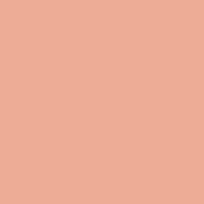 MYLANDS Wall Primer - Orange Pro-Trade Wall Primer, 10L