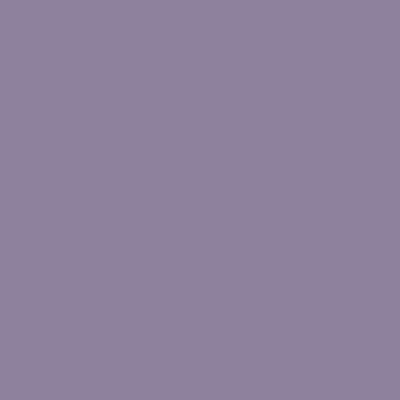 MYLANDS Wall Primer - Purple Pro-Trade Wall Primer, 10L