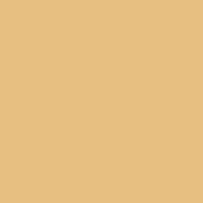 MYLANDS Wall Primer - Yellow Pro-Trade Wall Primer, 5L