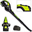 MYLEK Cordless Leaf Blower & Hedge Trimmer with 2 x 20V Li-ion 4000mAh Batterys and Fast Charger