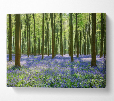 Mystical Bluebell Woodland Canvas Print Wall Art - Medium 20 x 32 Inches