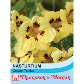 Nasturtium Cream Troika 1 Packet (30 Seeds)