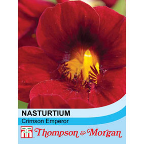 Nasturtium Crimson Emperor 1 Seed Packet (30 Seeds)