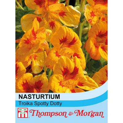 Nasturtium Troika Spotted Dotty 1 Packet (20 Seeds)