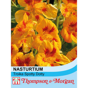 Nasturtium Troika Spotted Dotty 1 Packet (20 Seeds)