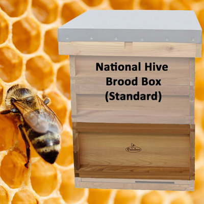 National Beehive Brood Box in cedar - 3