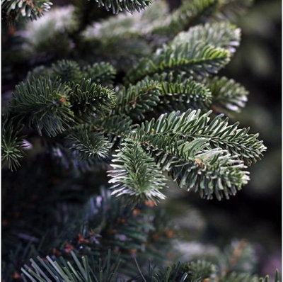 National Tree Company Bayberry Spruce Feel Real Slim Artificial Christmas Tree 7.5ft - 3