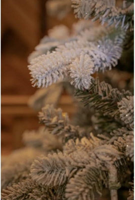National Tree Company Snowy Sheffield Fir Feel Real Artificial Christmas Tree 6.5ft
