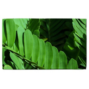 Natural dark green leaves, long slender green leaves (Bath Towel) / Default Title