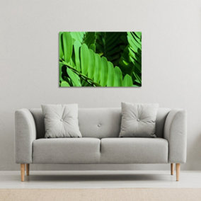Natural dark green leaves, long slender green leaves (Canvas Print) / 101 x 77 x 4cm