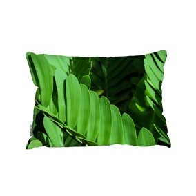 Natural Dark Green Leaves, Long Slender Green Leaves (Cushion) / 30cm x 45cm