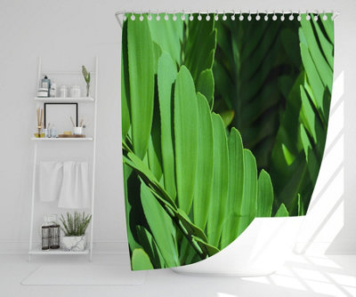 Natural dark green leaves, long slender green leaves (Shower Curtain) / Default Title