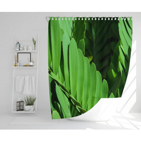 Natural dark green leaves, long slender green leaves (Shower Curtain) / Default Title