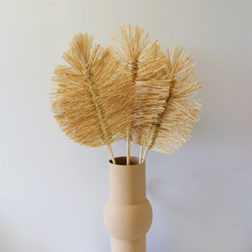 Natural Dried Cream Boho Palms - 5 Stems - 70cm in Height - Dried Flowers - Ideal for Home Décor - Flower Arranging