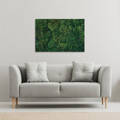 Natural green moss (Canvas Print) / 101 x 77 x 4cm Price Comparisons | Compare The Build